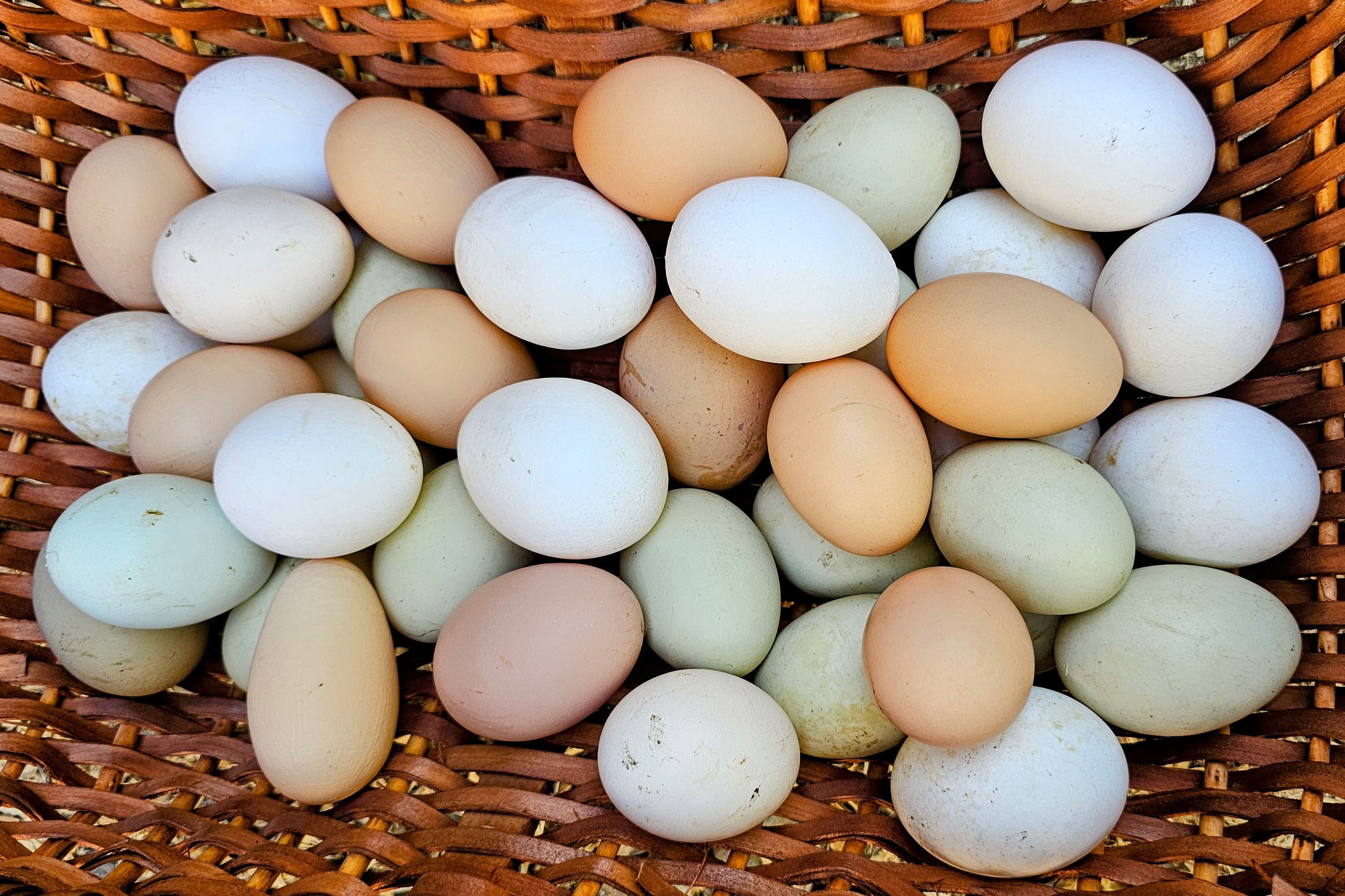 A beautiful, artistic shot of colorful farm fresh eggs in a basket or carton.