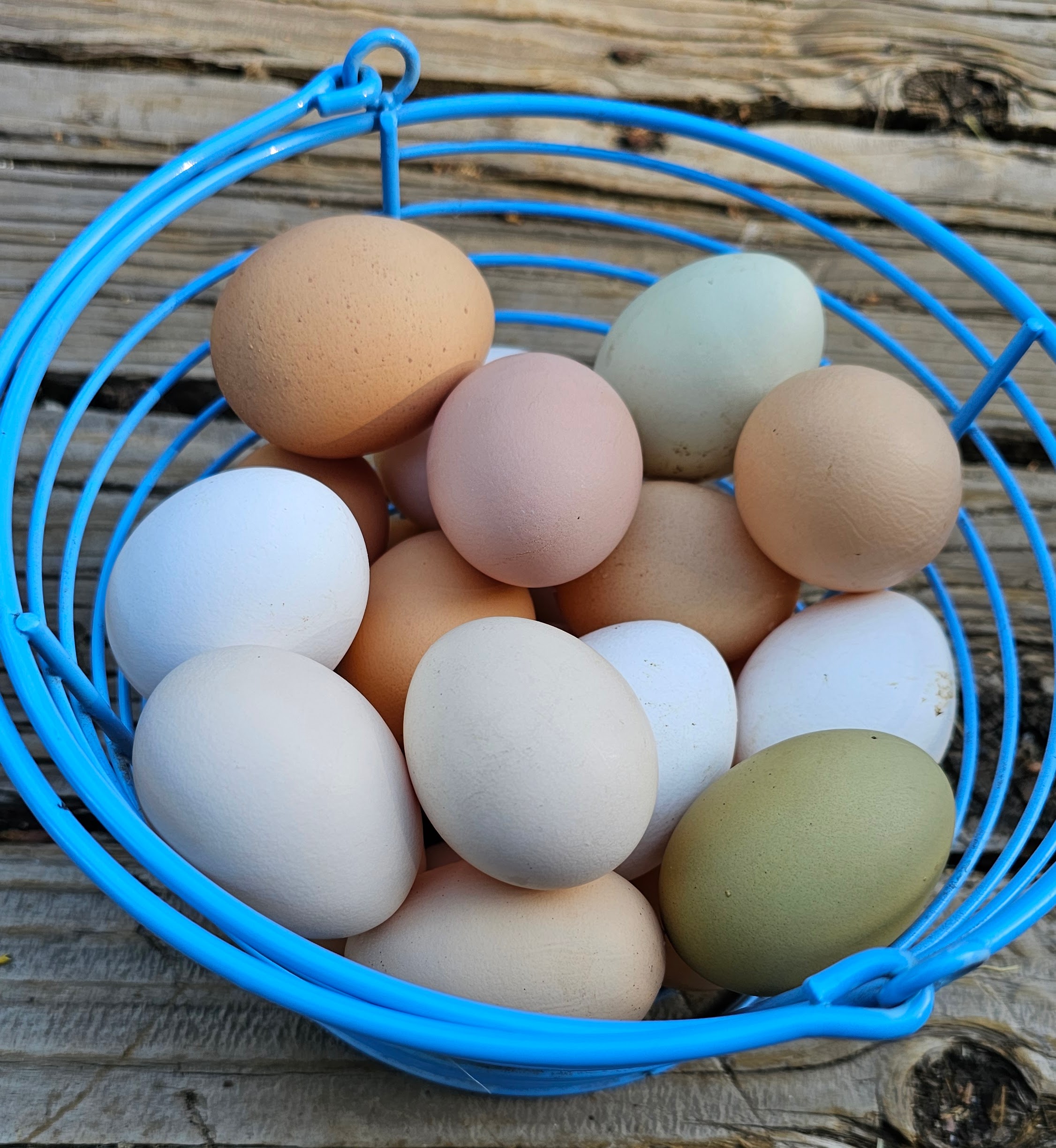 A carton of fresh, colorful chicken eggs from the farm.