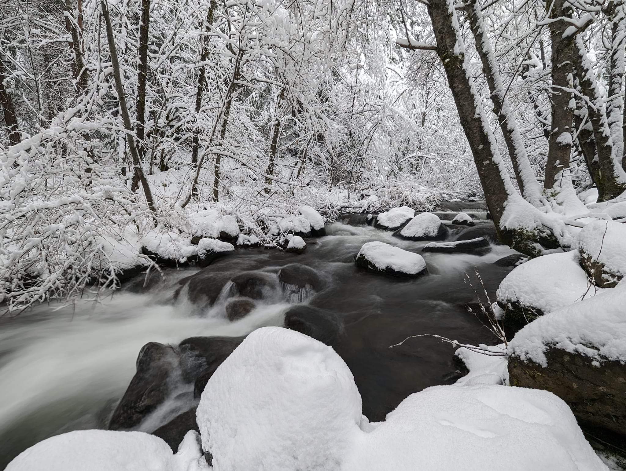 A beautiful, lush landscape shot of Trinity Falls Farm, highlighting its natural setting.