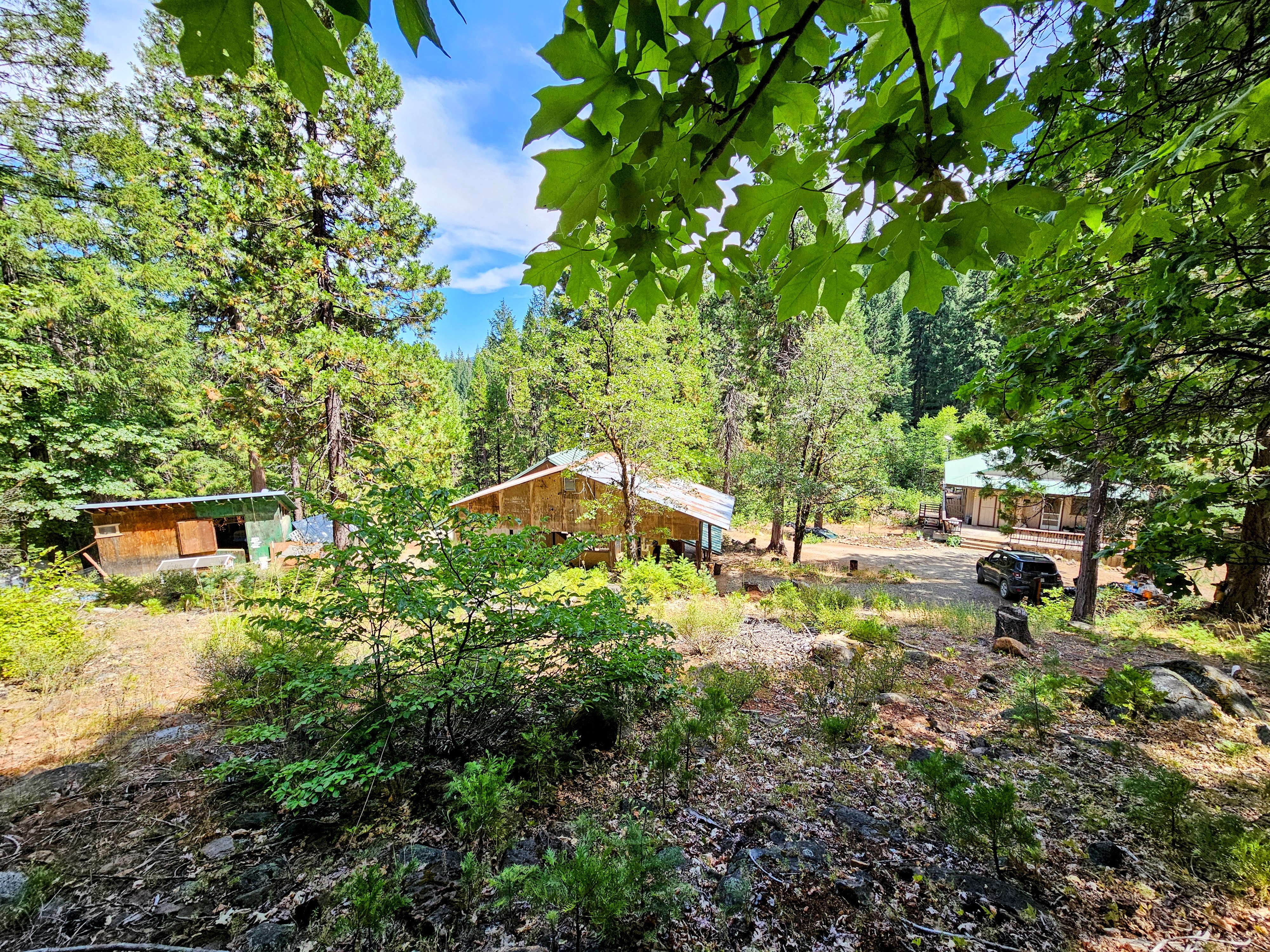 A scenic view of a farm in the mountains of Northern California, representing Trinity Falls Farm.